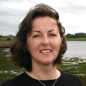 Writing and Creating Picture Books with Marie-Louise Fitzpatrick Irish Writers Centre Dublin