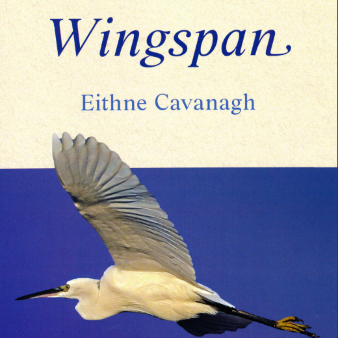 Book Launch Wingspan by Eithne Cavanagh Irish Writers Centre Irish